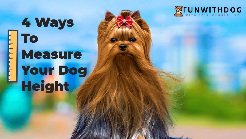 4-Ways-To-Measure-Your-Dog-Height